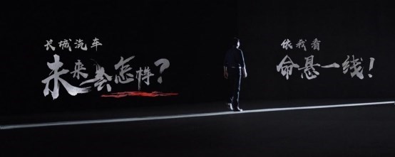 《长城汽车挺得过明年吗》 (7)